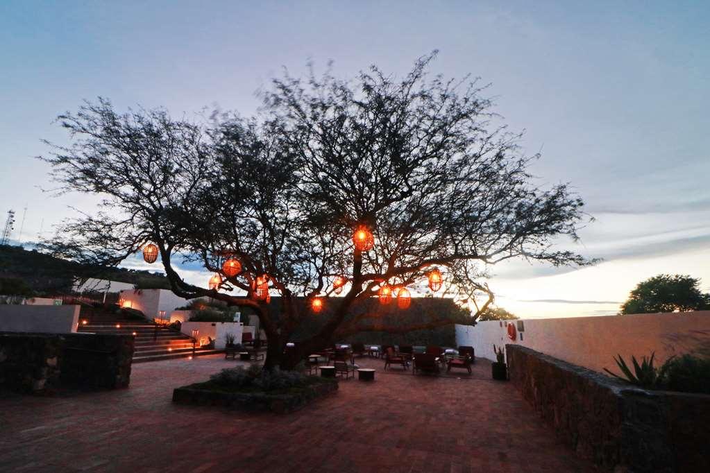 Albor San Miguel De Allende Tapestry Collection By Hilton Exteriér fotografie