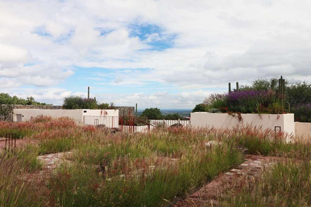 Albor San Miguel De Allende Tapestry Collection By Hilton Exteriér fotografie